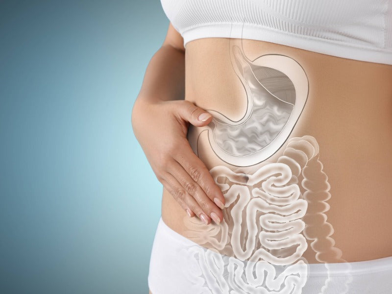 IBS – irritabel tarm: symptomer, undertyper og utredning