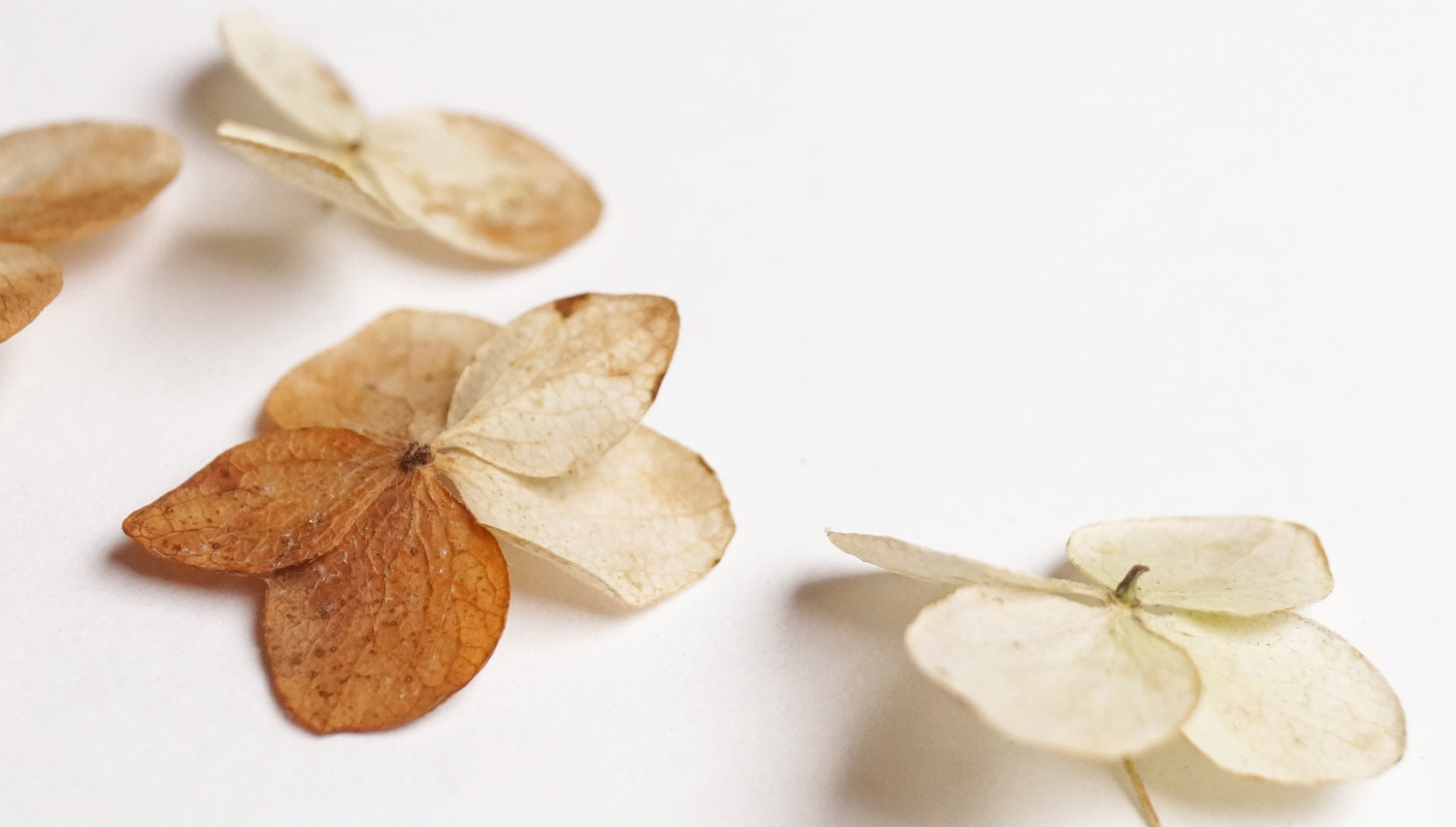 Kvinne med tørre slimhinner i ansiktet