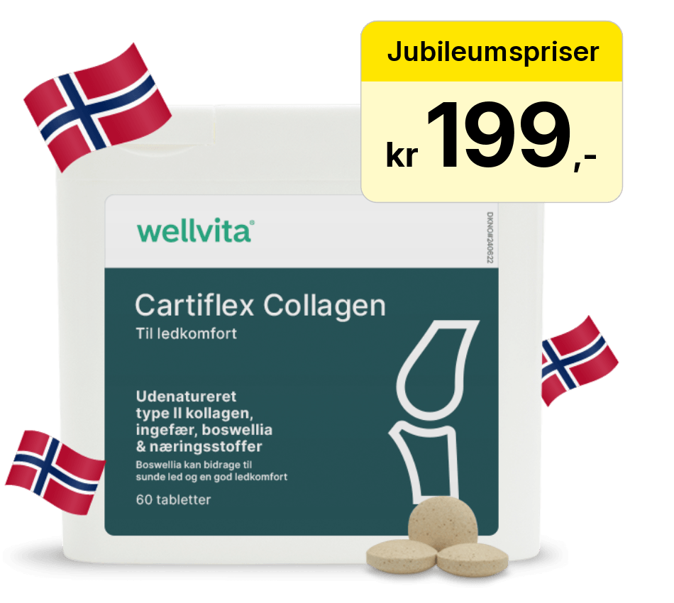 Cartiflex Collagen