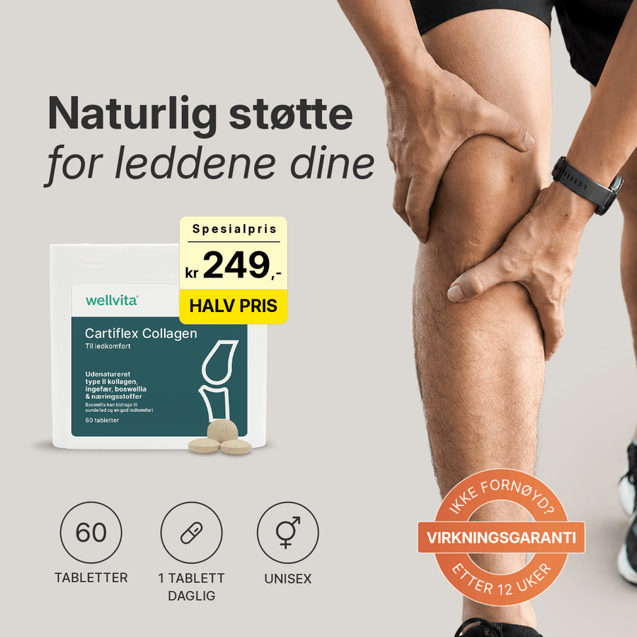 Cartiflex Collagen billede 1