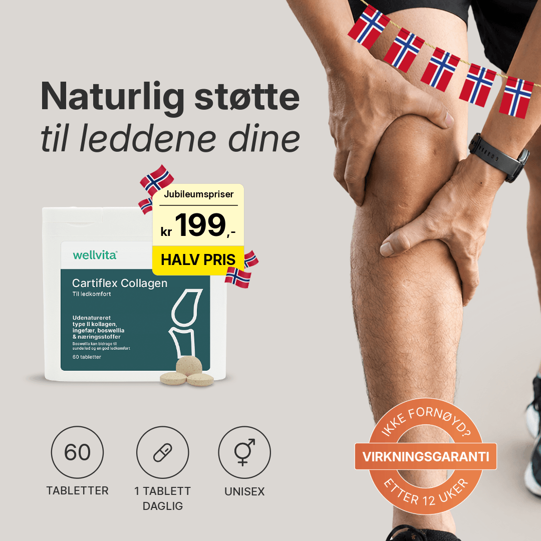 Cartiflex Collagen billede 1