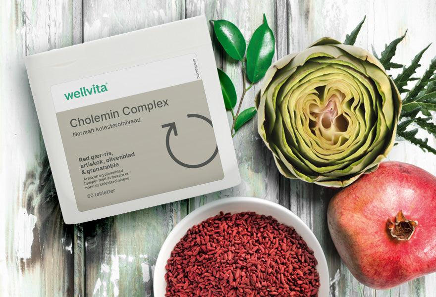 Cholemin Complex billede 4