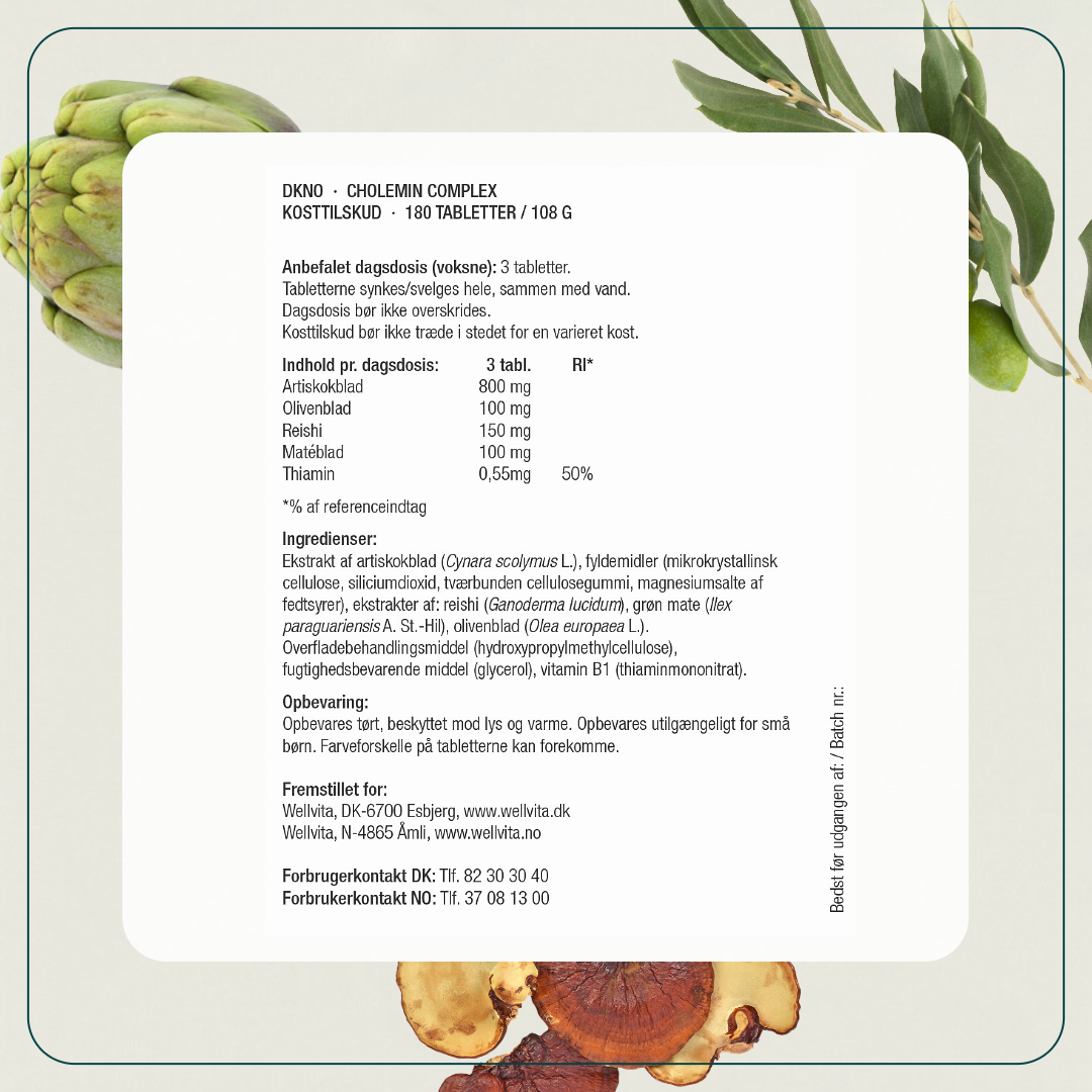 Cholemin Complex billede 4