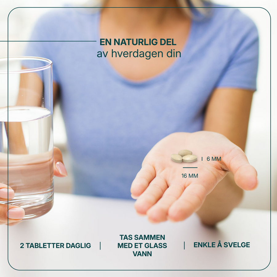 Energo Plus billede 4