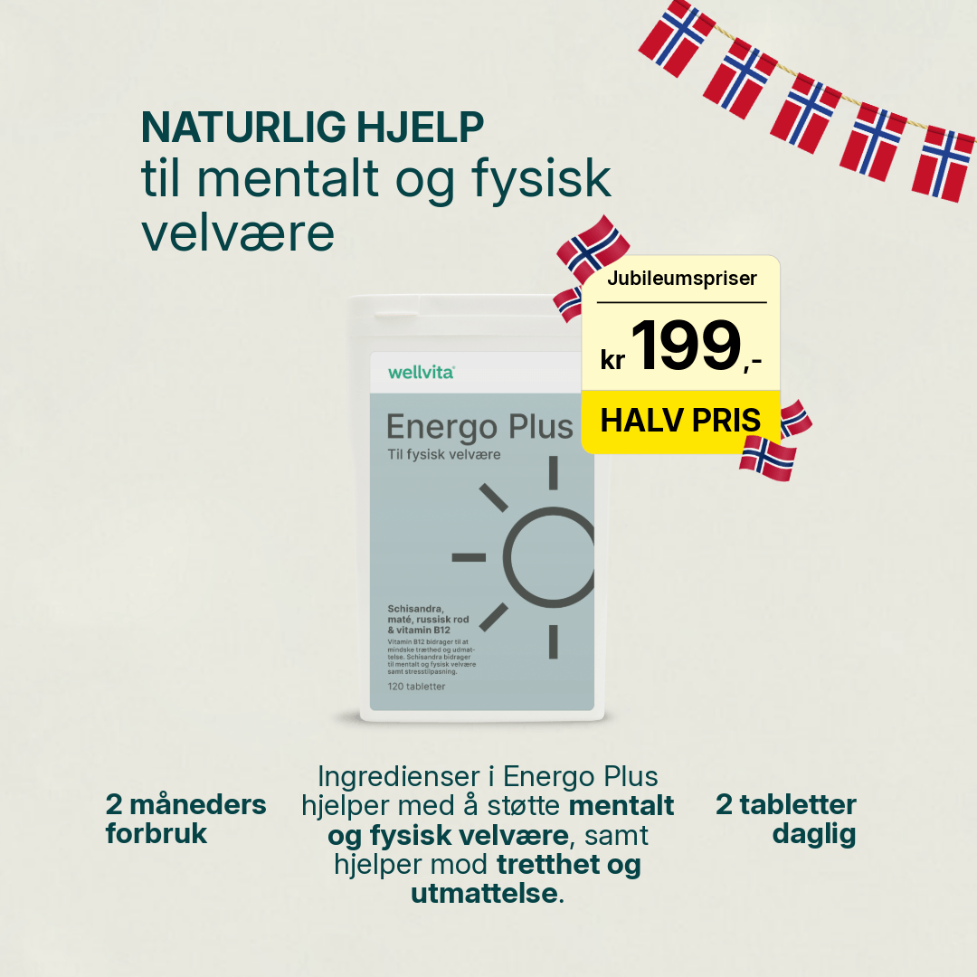 Energo Plus billede 1