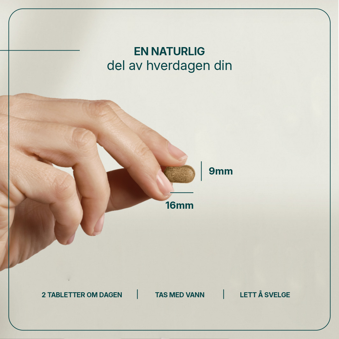 Gestomax billede 4