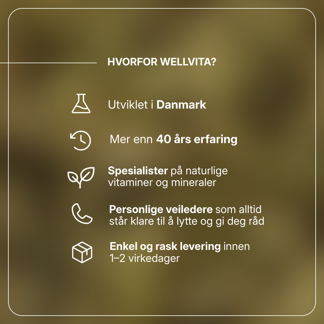 Macoform kosttilskudd med artisjokk- og løvetannekstrakt for bedre fordøyelse og leverfunksjon, 60 tabletter.