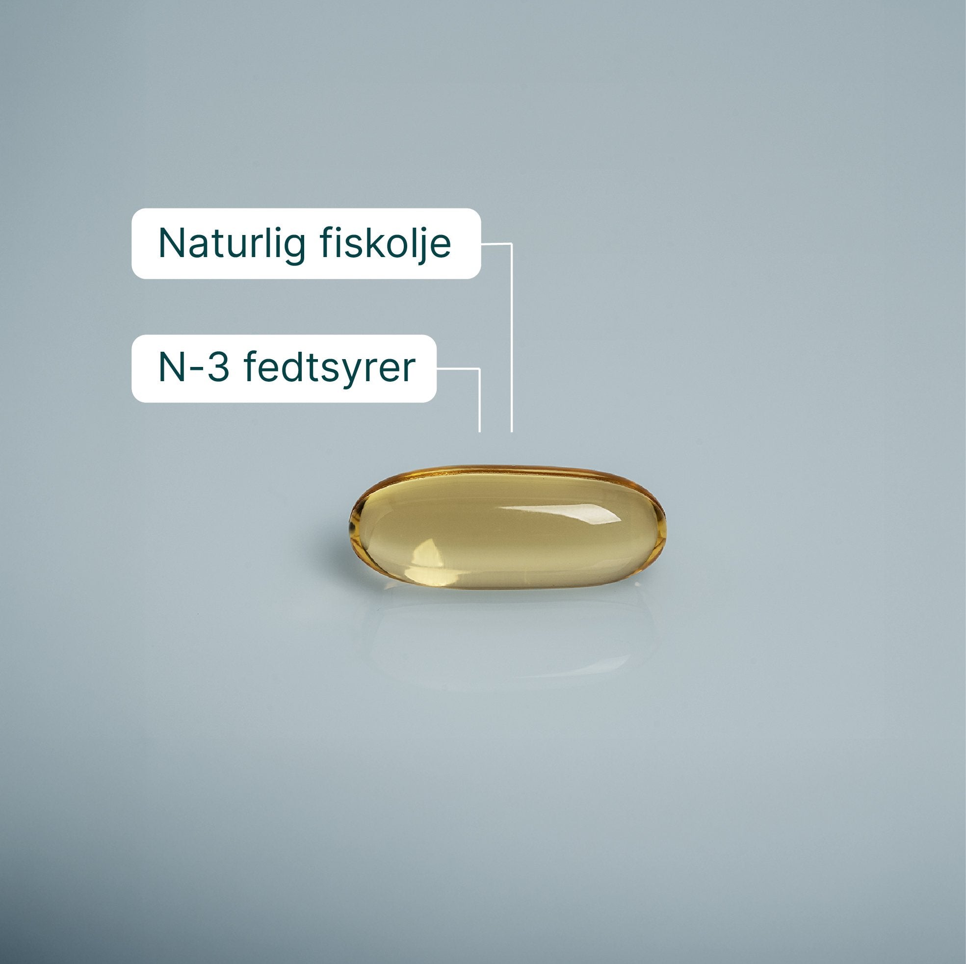 Wellvita fiskeolje kosttilskudd med omega-3 for hjerte og hjernefunksjon, 120 kapsler