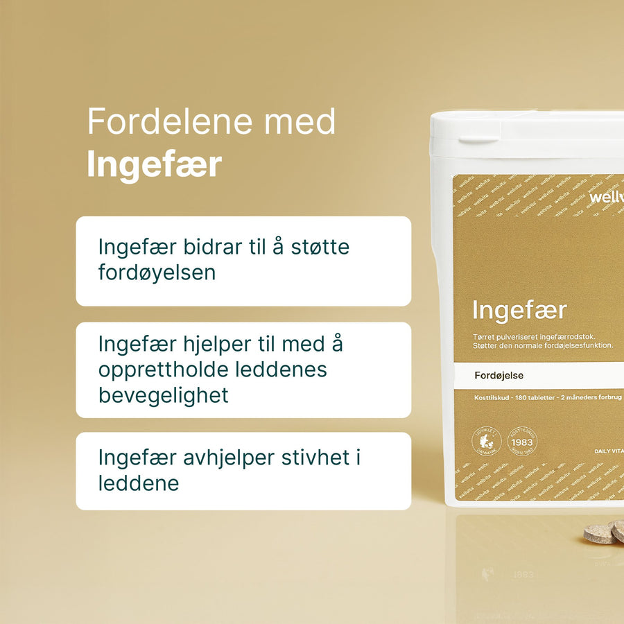 Ingefær billede 2