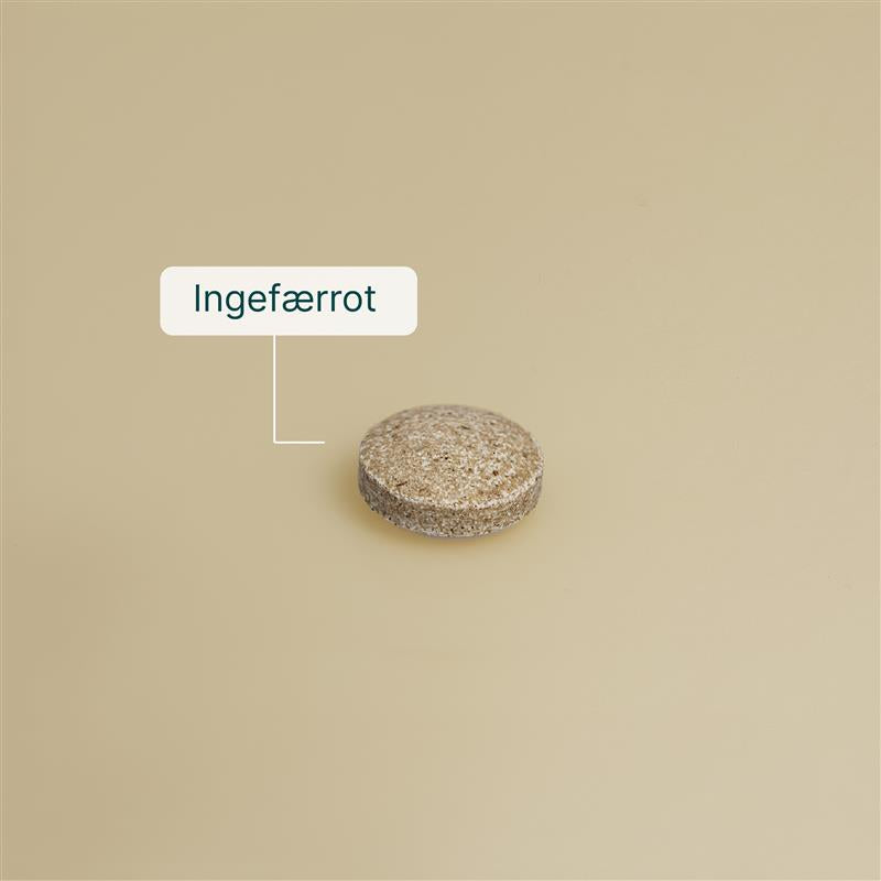Ingefær billede 4