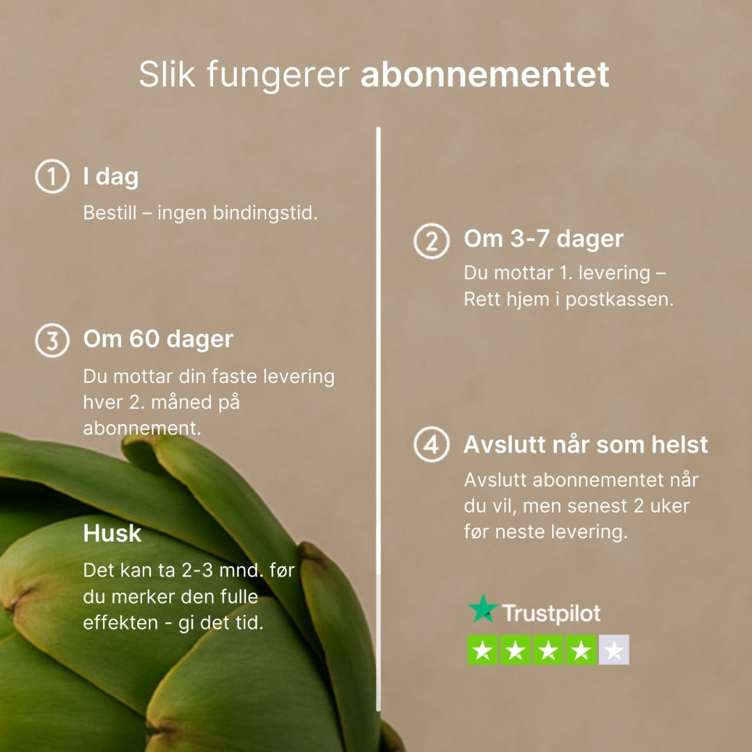 Macoform kosttilskudd med artisjokk og løvetann for fordøyelse og leverstøtte, 60 tabletter, Wellvita.