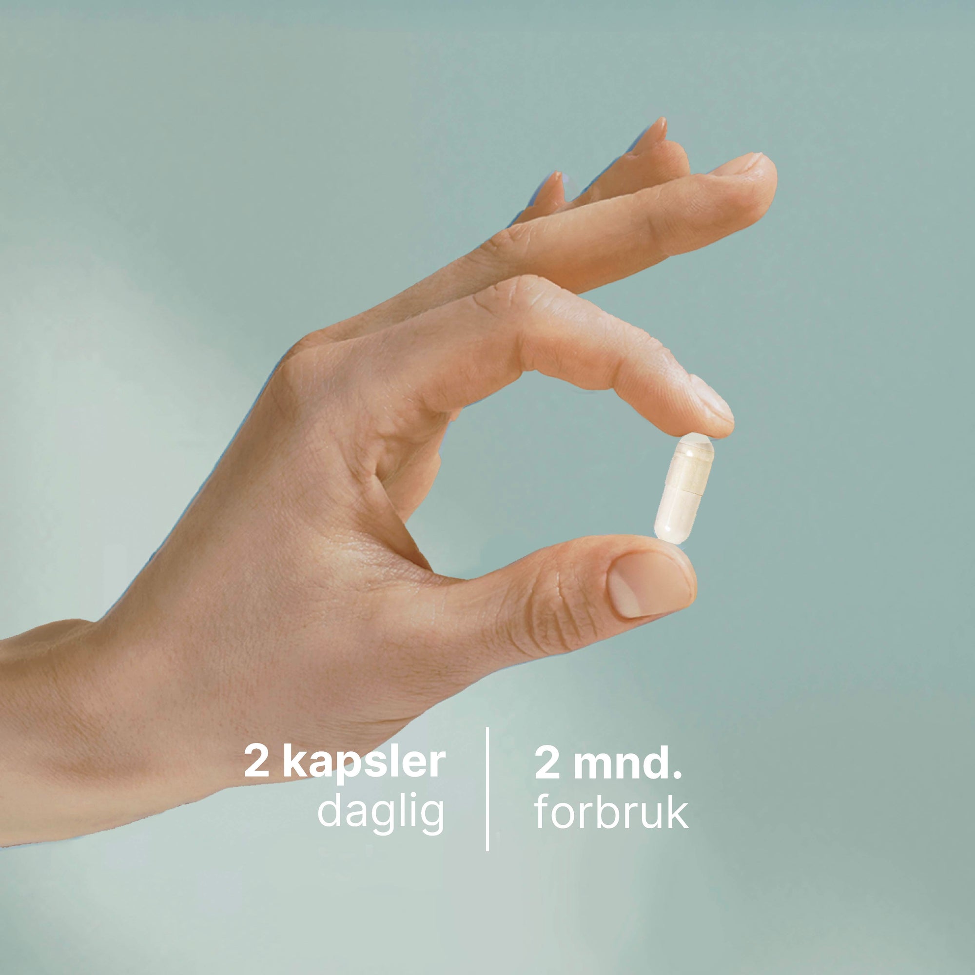 Magnesium Citrat kosttilskudd for normal muskelfunksjon og redusert tretthet i 120 kapsler fra Wellvita
