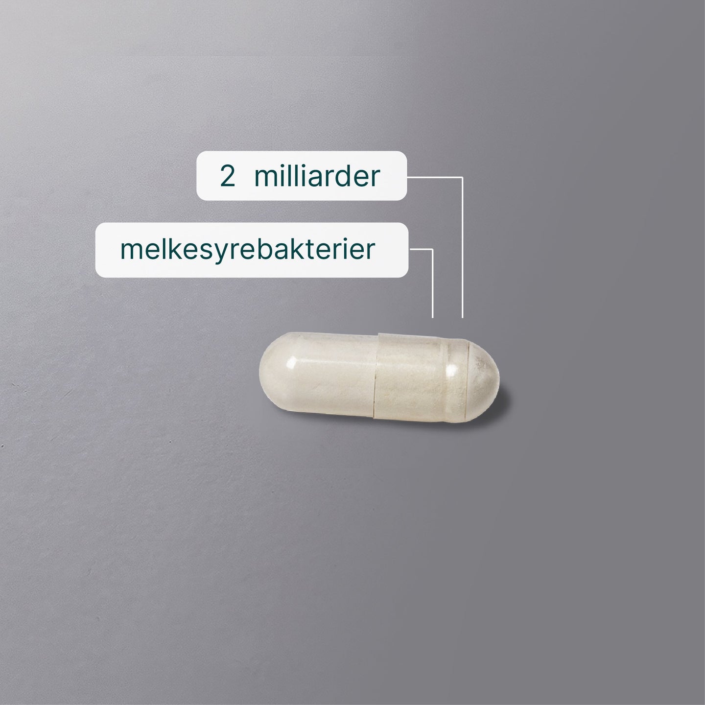 Melkesyrebakterier billede 5