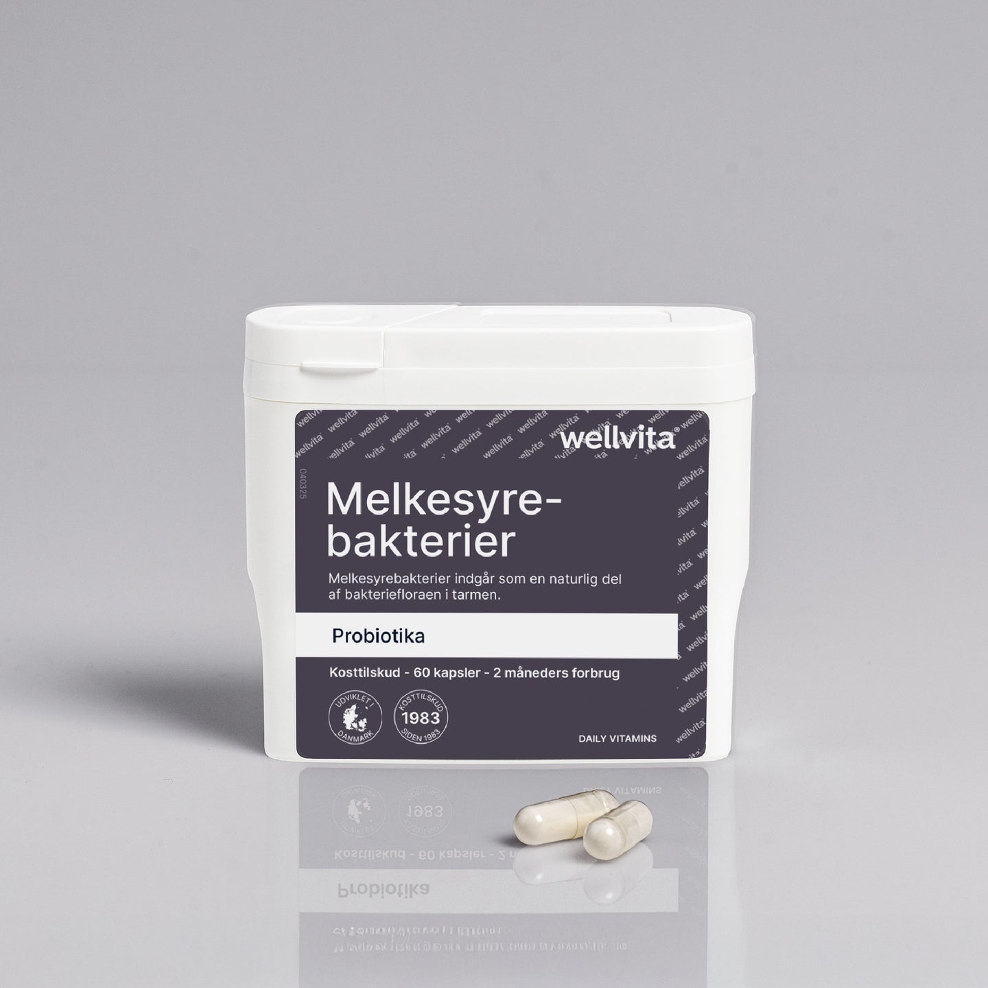 Melkesyrebakterier billede 1