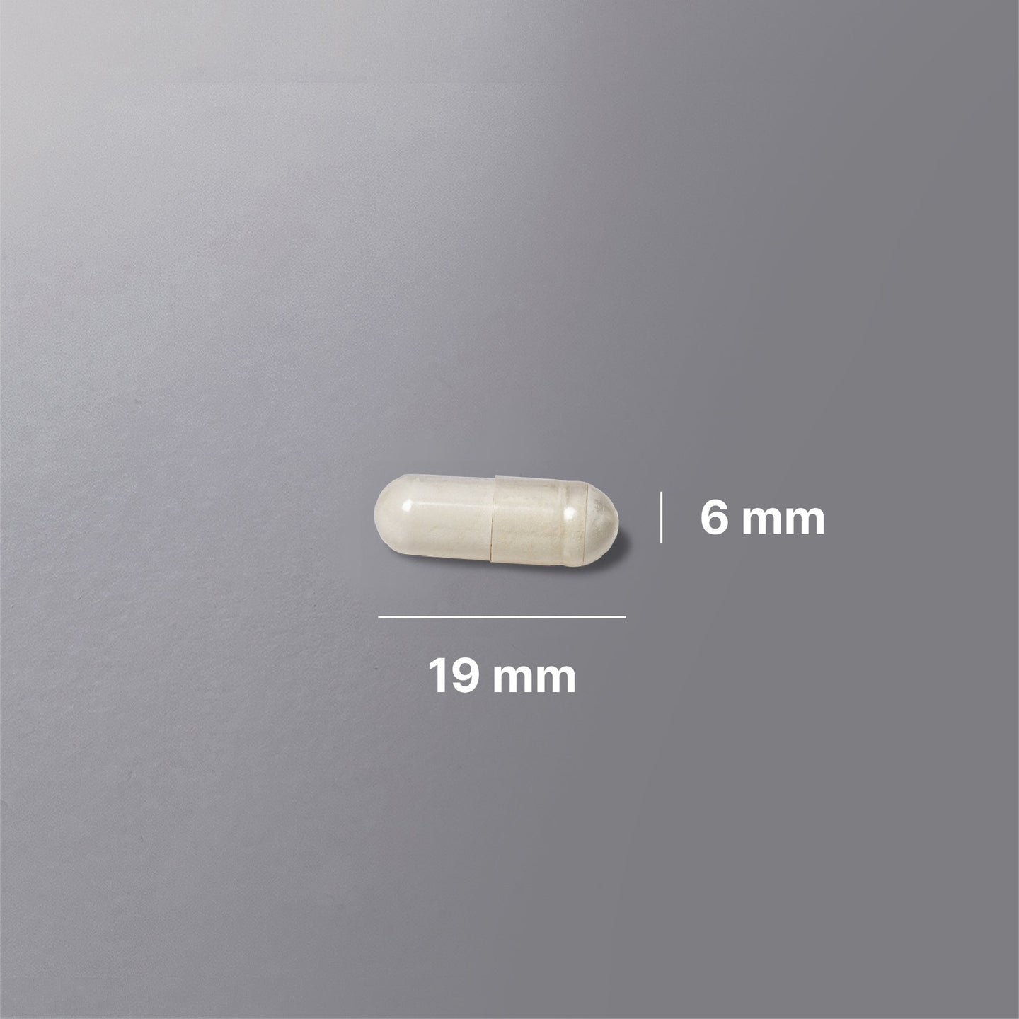 Melkesyrebakterier billede 4