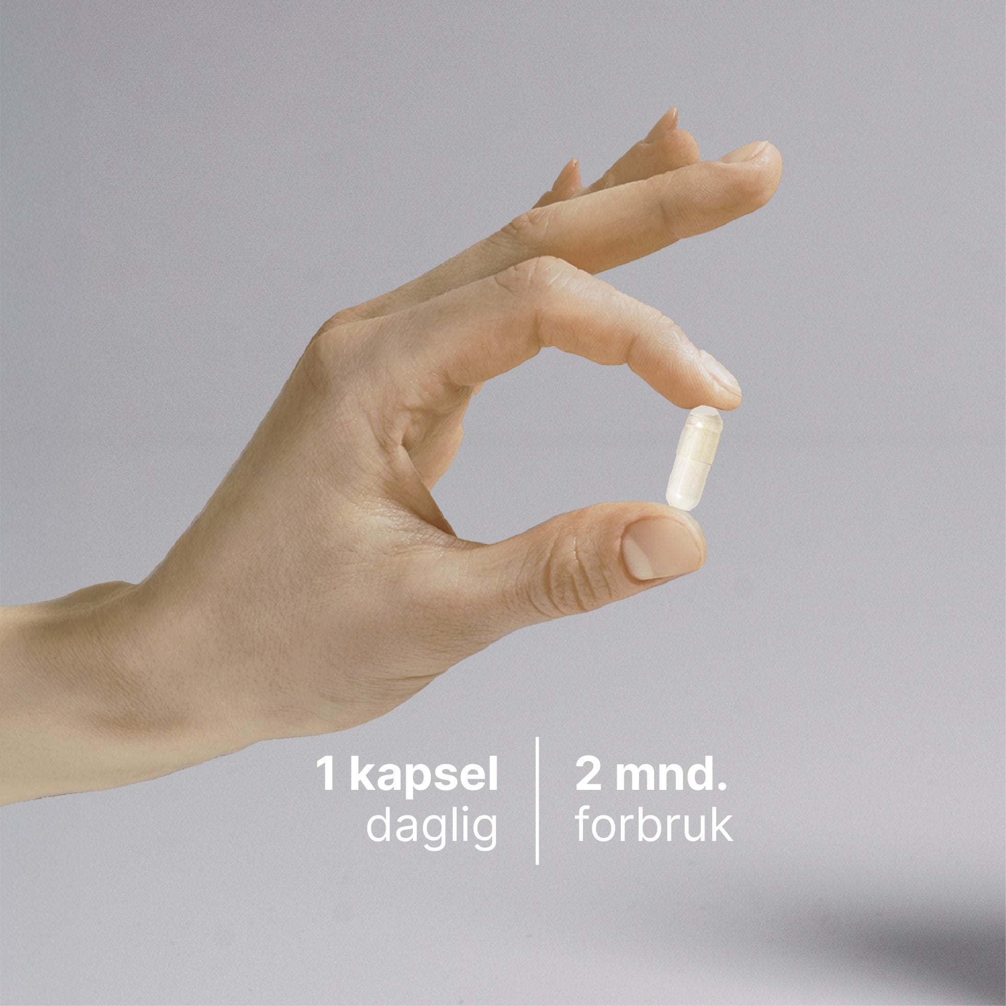 Melkesyrebakterier probiotika kosttilskudd i eske med 60 kapsler for tarmhelse