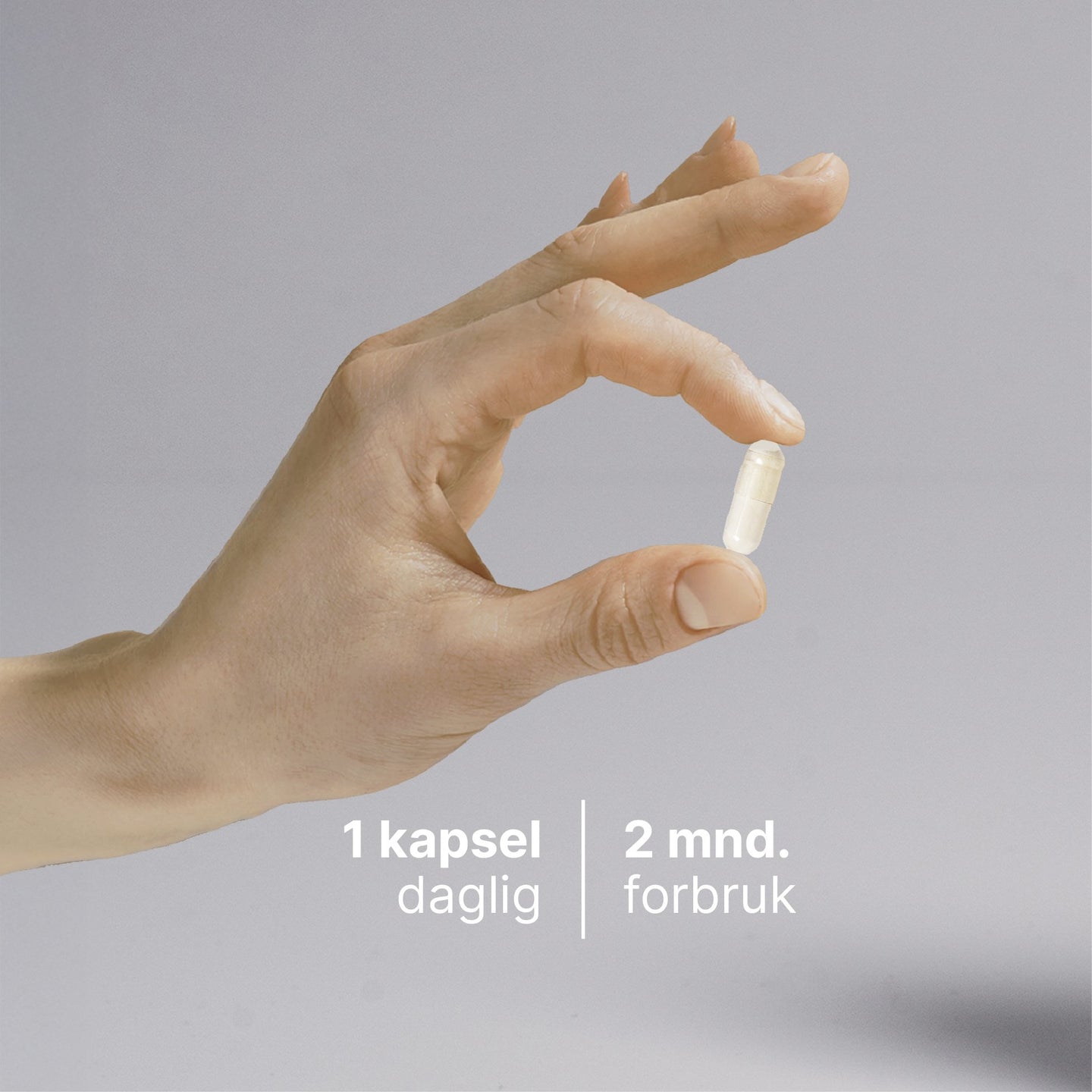 Melkesyrebakterier billede 3