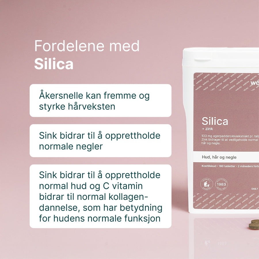 Silica billede 2