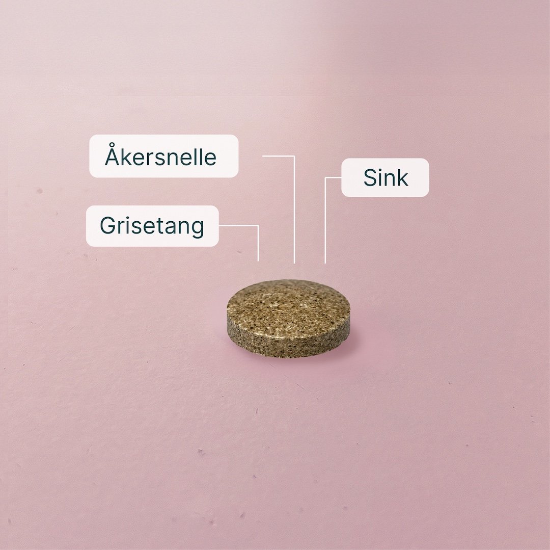 Wellvita Silica kosttilskudd med sink for hud, hår og negler, 180 tabletter, 2 måneders forbruk.