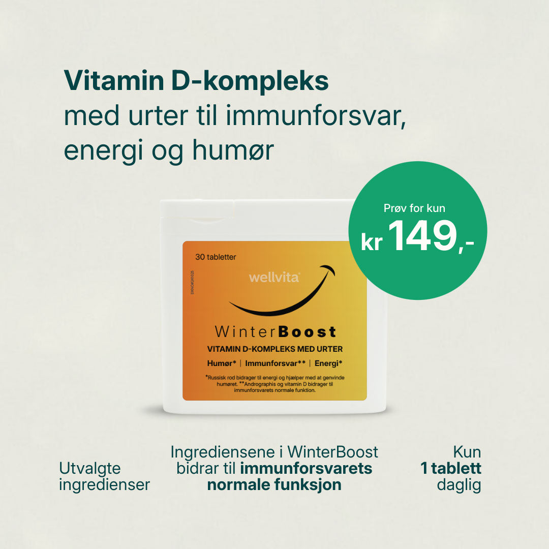 Winterboost billede 1