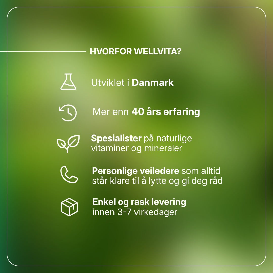 Winterboost billede 4