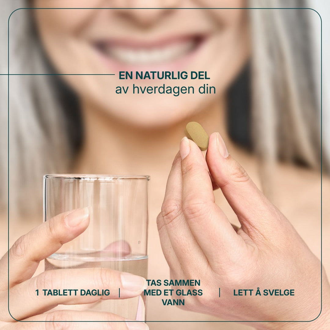 Winterboost billede 5