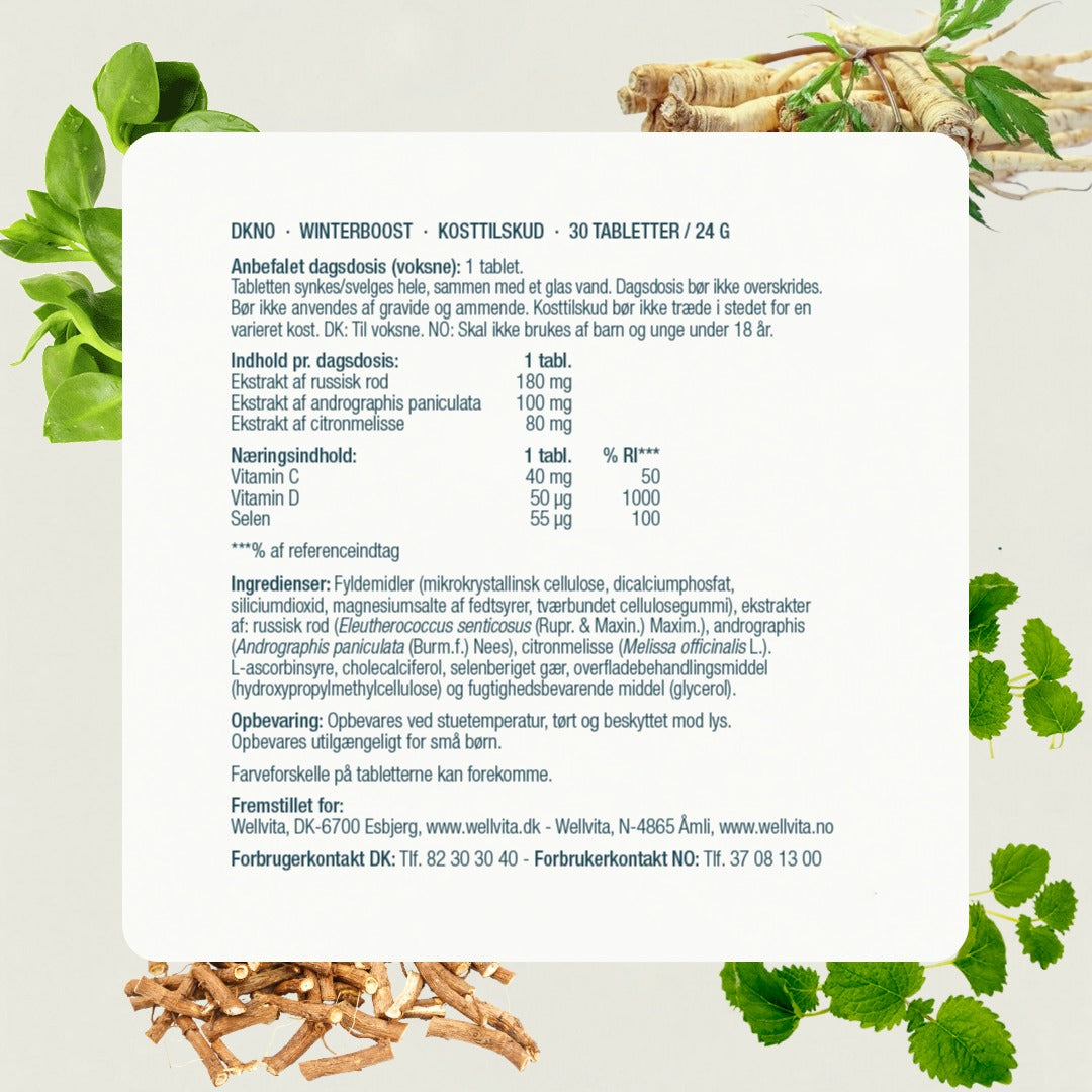 Winterboost billede 6