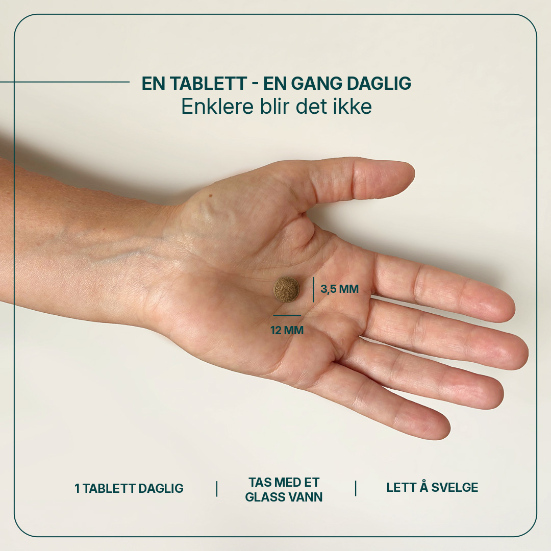 Remital billede 4