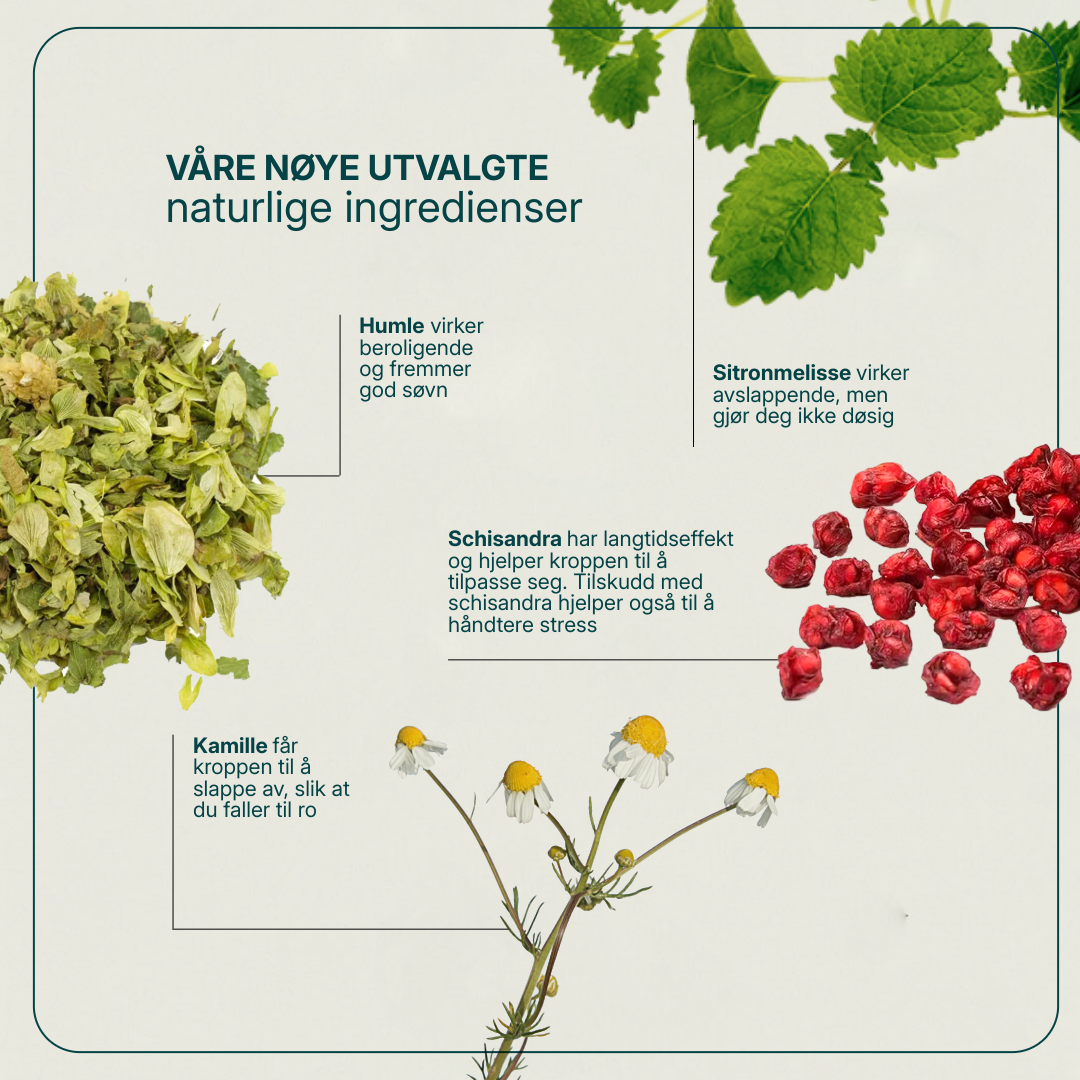 Sedaforte kosttilskudd med sitronmelisse, humle, kamille og schisandra for avslapning og bedre søvn, 60 tabletter.