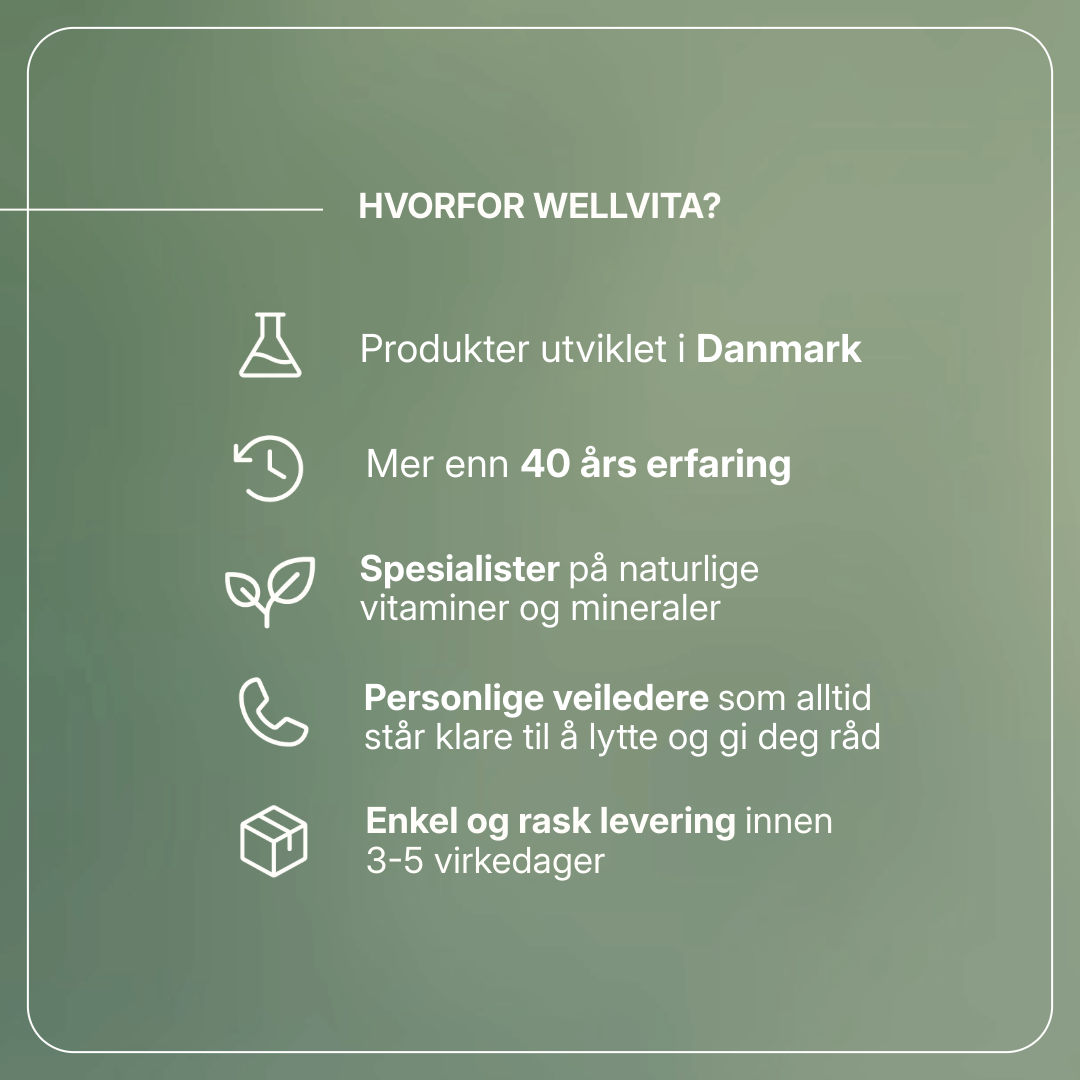 Wellvita Virizil kosttilskudd for menn med ginseng, L-citrullin, L-arginin og sink, 90 tabletter.