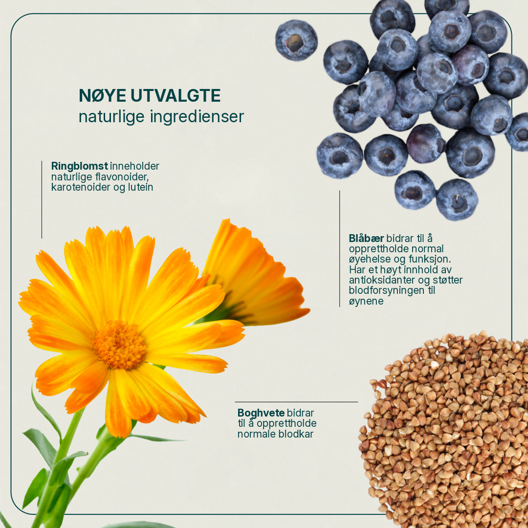 Vistavital billede 2