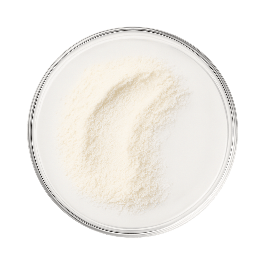 boks med Mega B Complex vitamintilskudd fra Wellvita med 8 B-vitaminer og C-vitamin for energi og redusert tretthet