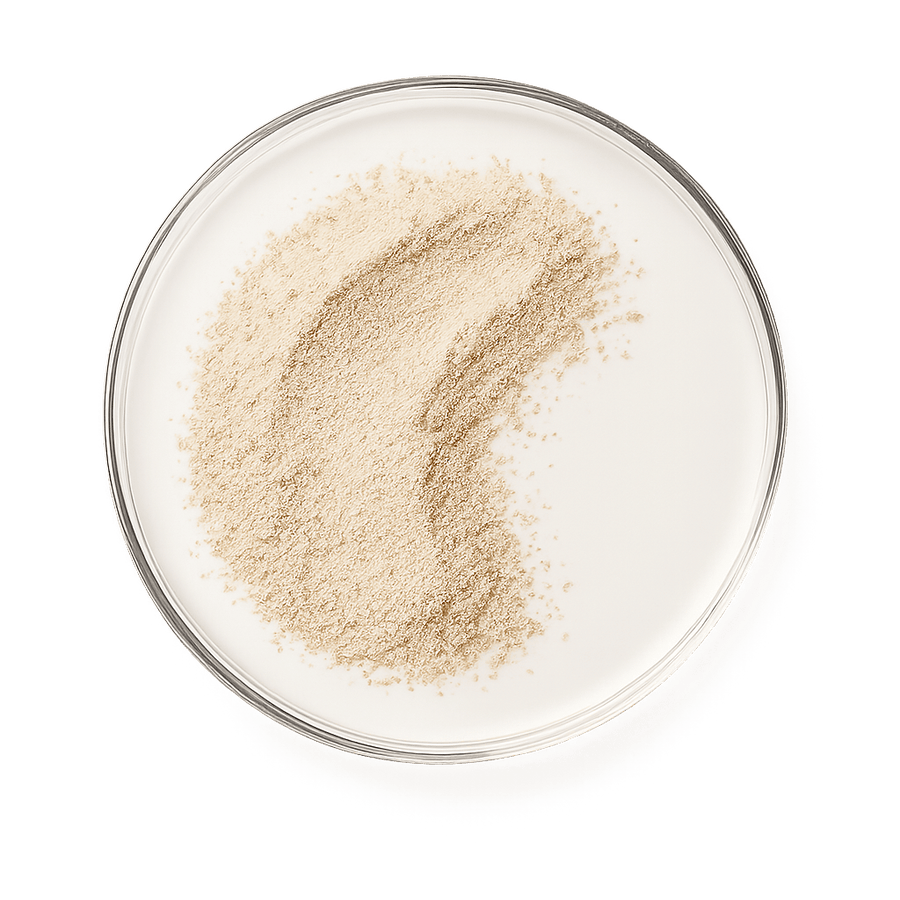 boks med Mega B Complex vitamintilskudd fra Wellvita med 8 B-vitaminer og C-vitamin for energi og redusert tretthet