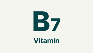 boks med Mega B Complex vitamintilskudd fra Wellvita med 8 B-vitaminer og C-vitamin for energi og redusert tretthet