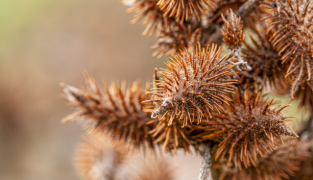 Hydrolet kosttilskudd med kjerringrokk, hibiskus og kalium som støtter nyrenes væskeutskillelse og normale urinveisfunksjon, 90 tabletter.