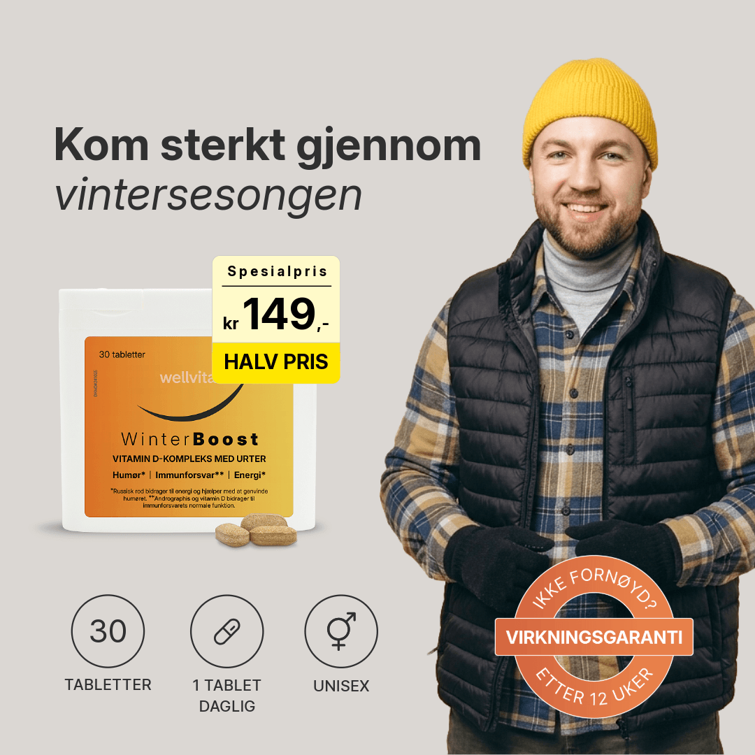 Winterboost billede 1