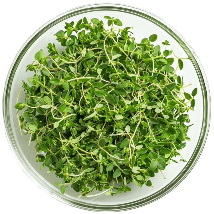 Remital kosttilskudd med bacopa monnieri, ginseng og vitaminer for mental kapasitet og hukommelse, 60 tabletter