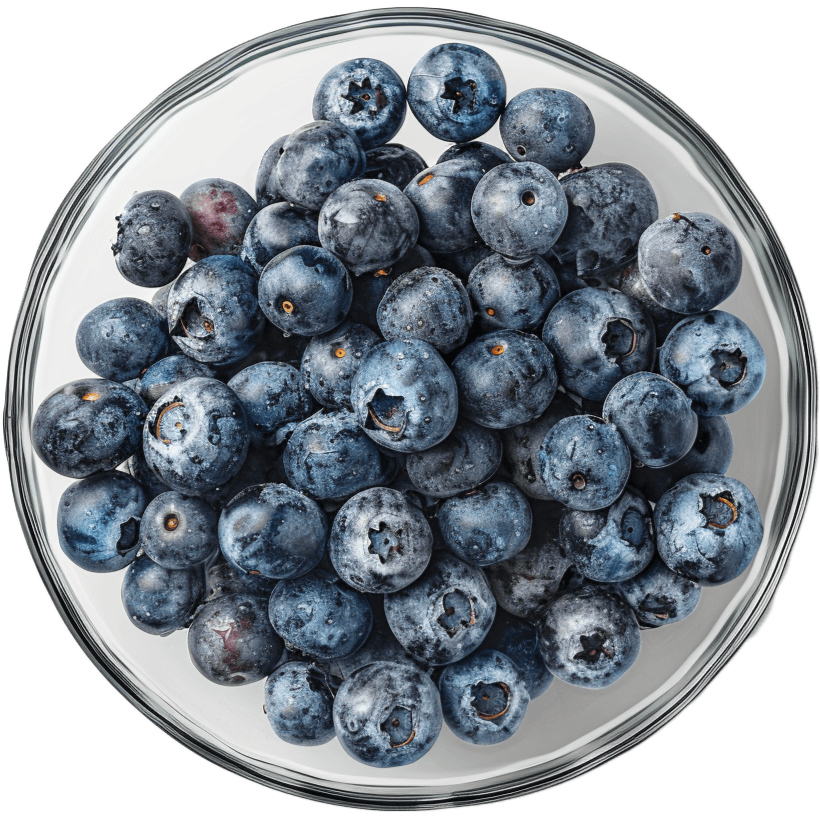 Vistavital kosttilskudd med blåbær, boghvete og vitaminer for normalt syn, 120 tabletter