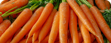 Vistavital kosttilskudd med blåbær, boghvete og vitaminer for normalt syn, 120 tabletter