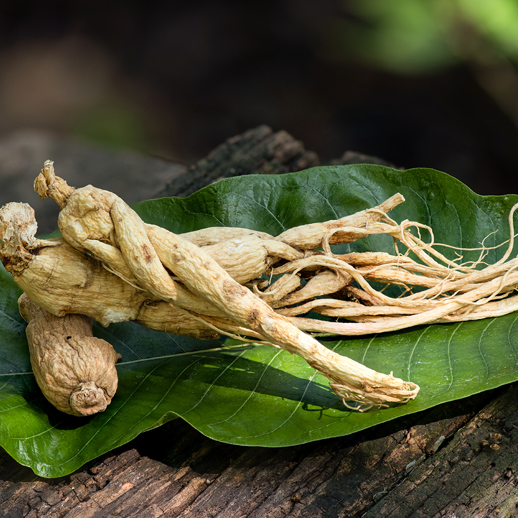 Wellvita Virizil kosttilskudd for menn med ginseng, L-citrullin, L-arginin og sink, 90 tabletter.