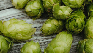 Sedaforte kosttilskudd med sitronmelisse, humle, kamille og schisandra for avslapning og bedre søvn, 60 tabletter.