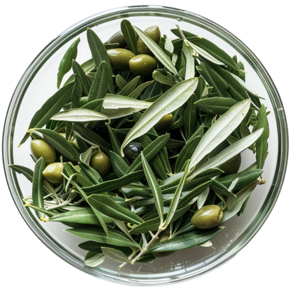 Cholemin Complex kosttilskudd med rødgjæret ris, artisjokk og olivenblad for normalt kolesterolnivå, 60 tabletter