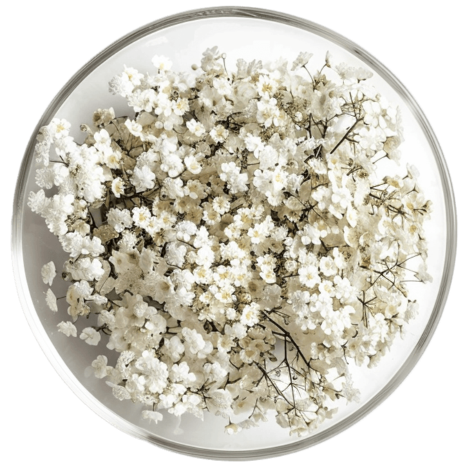 Redina kosttilskudd med salvie, dong quai, løvetann, ryllik og vitamin B6 for bedre velvære i overgangsalderen, 60 tabletter.