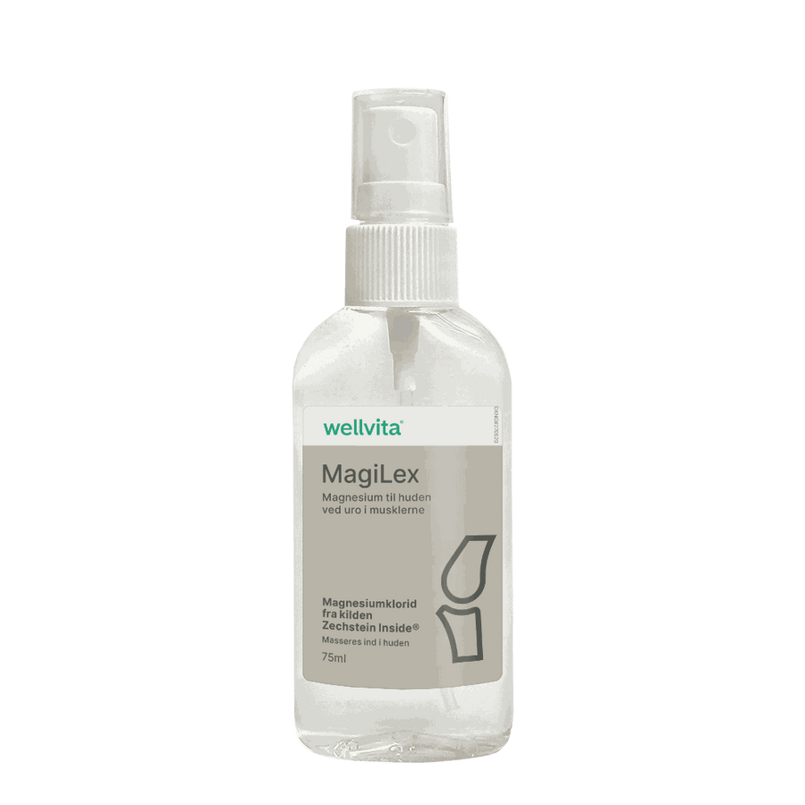 MagiLex billede 1